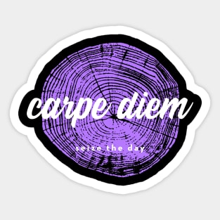 Latin Stoicism - Carpe Diem Sticker